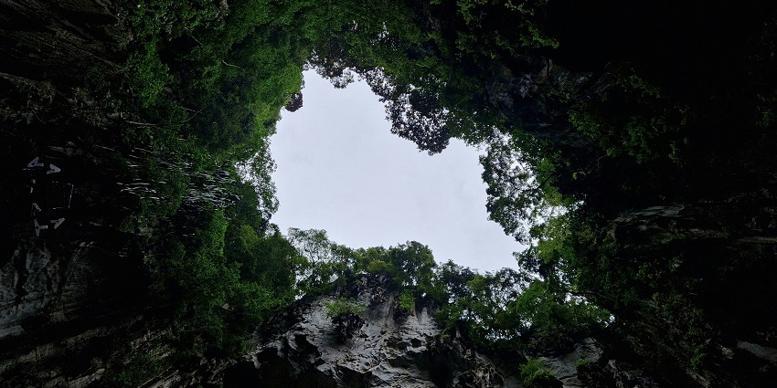 Ancient caves in Bhimashankar, a must-visit attraction for exploring history and culture.