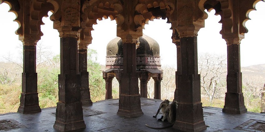 An inside view of an ancient temple showcasing several beautifully carved pillars in Khandar fort.