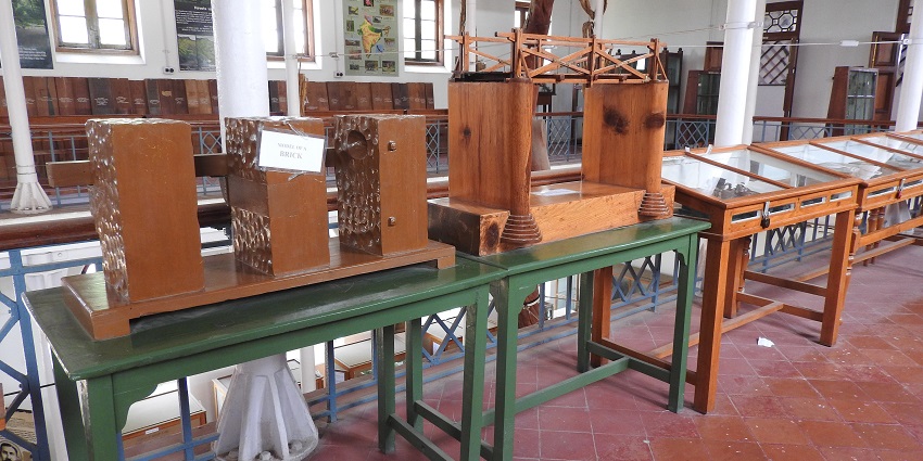 A picture of the Gass Forest Museum, one of the most insightful things to do in Coimbatore.