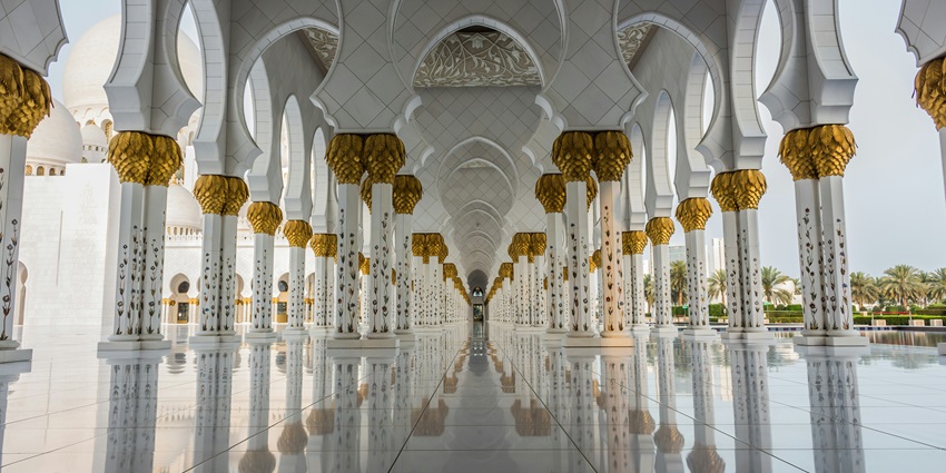 An image of the mosque with a bird flying above it, exhibiting classic architecture.