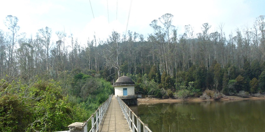 A picture of Ralliah Dam at Kotagiri, one of the most scenic views of the lush greenery.