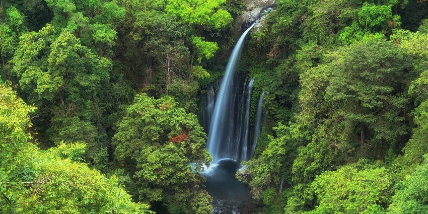 An amazing view of Tiu Kelep and Sendang Gile Waterfalls surrounded by lush forest.