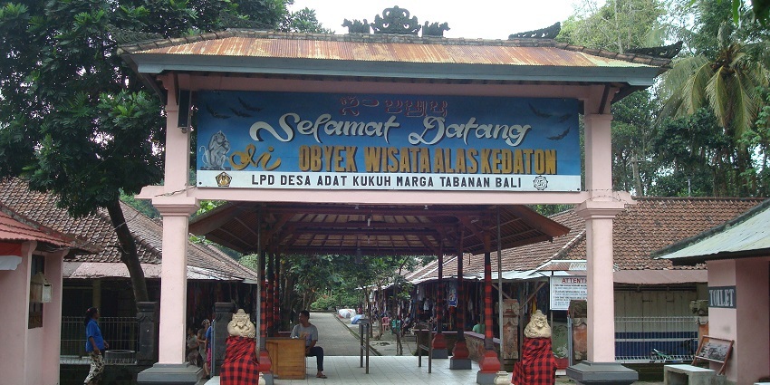 The entrance of the Ubud monkey forest between the dense jungle, one of the things to do in Indonesia.