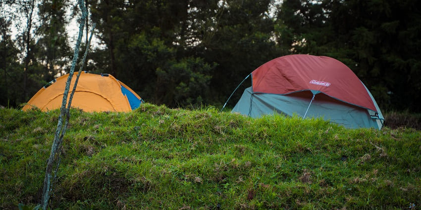A back view of two tents that are placed on an elevated level of ground amidst forest.