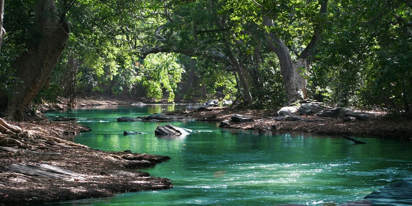 An image of a beautiful river similar to the Hemavathi River.