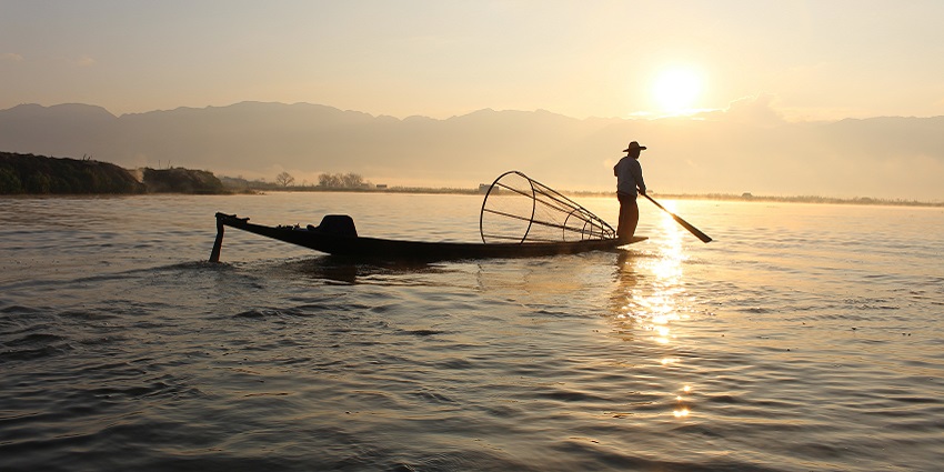 Enjoy fishing trips to catch local fish species and relax.