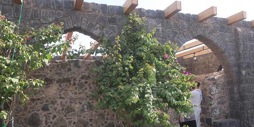 A view showcasing an elegant architecture and serene surroundings.