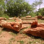 An image of the unique fossil formations at Fossil National Park showcasing ancient trees.