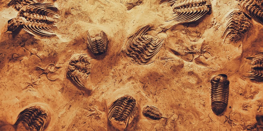 An image of Fossil National Park's scenic landscape, inviting exploration and adventure.
