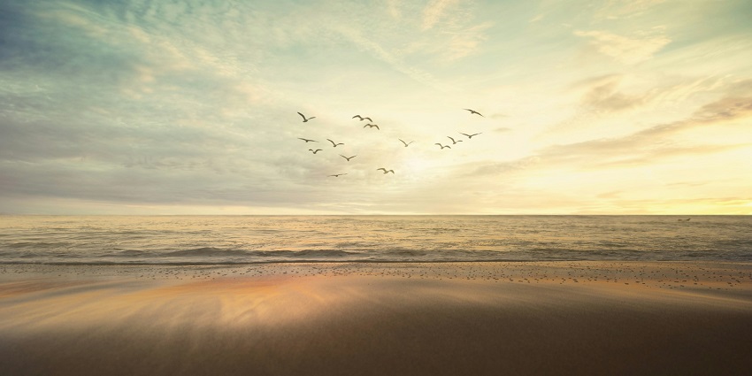 An image of a sand beach which is a serene and safe spot in Devgad, Maharashtra.