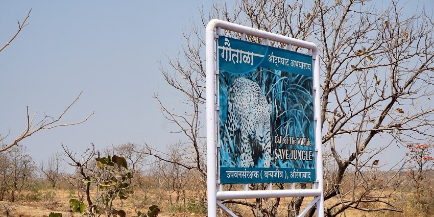 A picture of Gautala Autramghat Wildlife Sanctuary which is perfect spot for nature lovers.