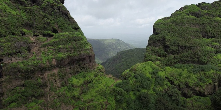 A picture of the ruins of s historical fort with a cover of lush greenery all around