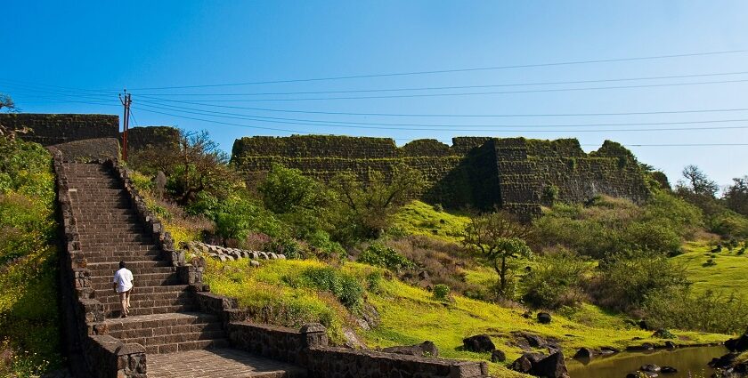 Stunning view of the Gharapuri fort, surrounded by vibrant yellow forts