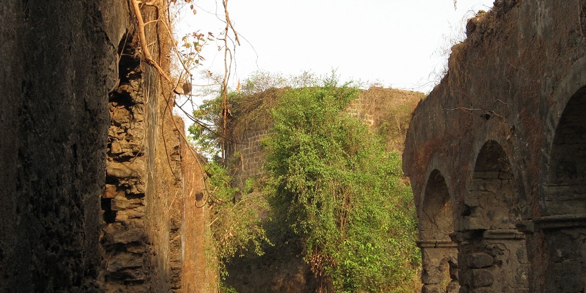 A picture of Ghodbunder Fort surrounded by forest, known for mysterious hauntings.
