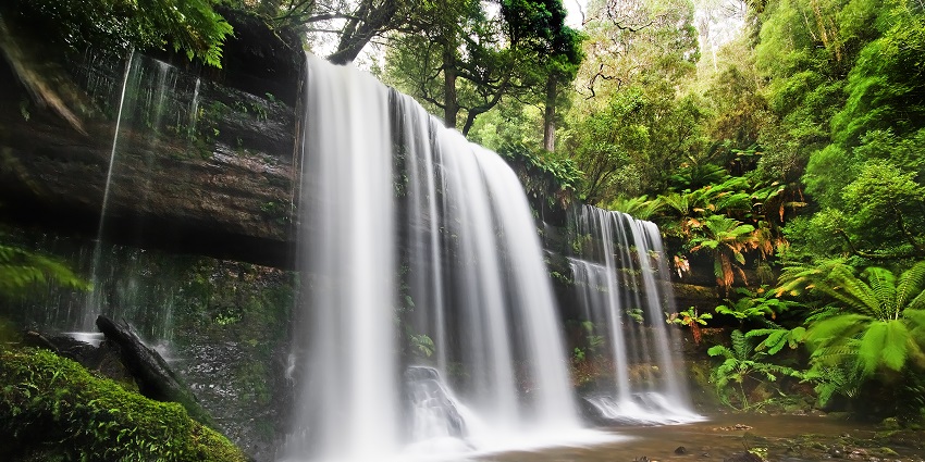 An image displaying Ghogra Waterfall, among the top places to visit in Chhindwara, surrounded by lush greenery.