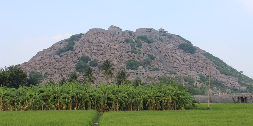 An image of Gingee Fort, offering panoramic views and rich architectural heritage.