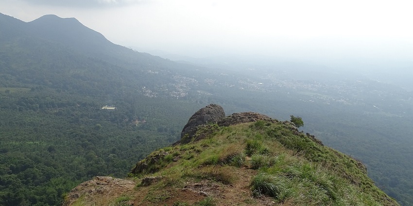 Scenic trek through tea plantations with beautiful panoramic views.