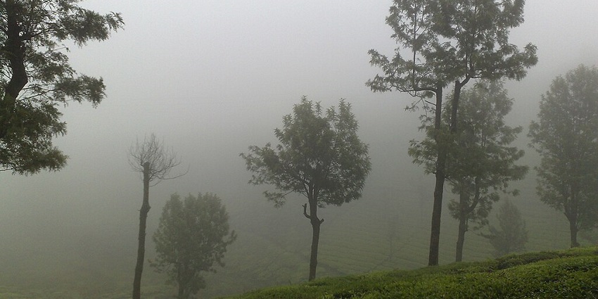 A misty view of Glenmorgan Tea Estate valley, one of the offbeat Ooty tourist places