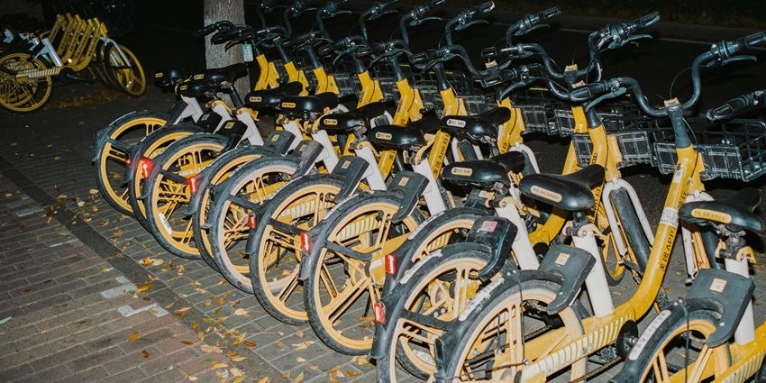 Go night cycling, exploring illuminated paths under the stars and have a fun time.