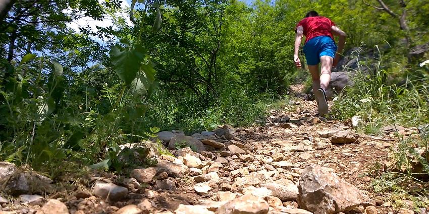 An image of the adventurers trekking, one of the best things to do in Megamalai.