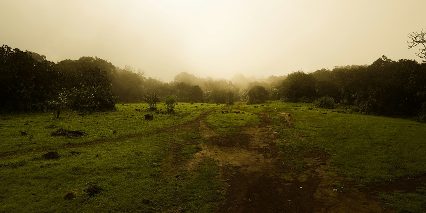 Scenic view from Gupt Bhimashankar Trek, one of the best things to do in Bhimashankar.