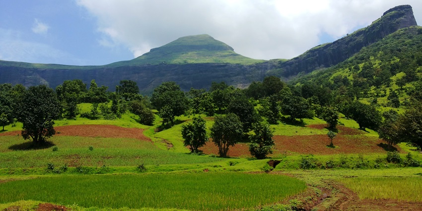 Lush green Bhamhagiri Hill near Nashik under a clear blue sky with soft contours-places to visit near aurangabad within 100 km