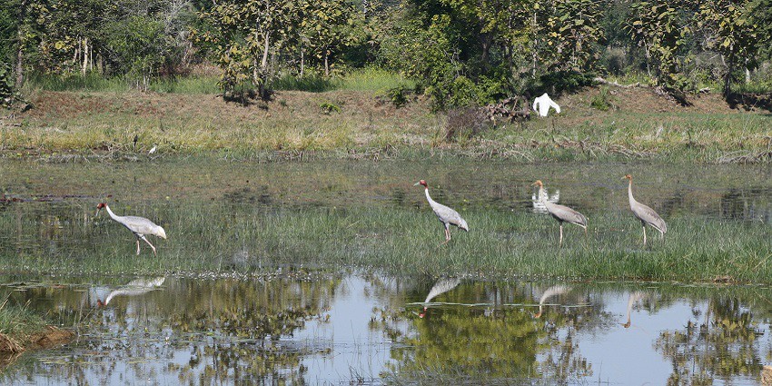 A popular destination near Nagzira Wildlife Sanctuary, known for its cultural heritage.