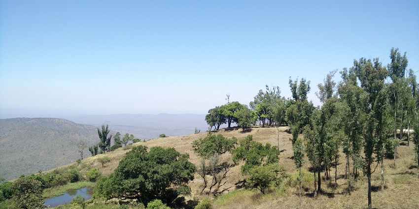 Gopalaswamy Betta is among the places to visit in Bandipur