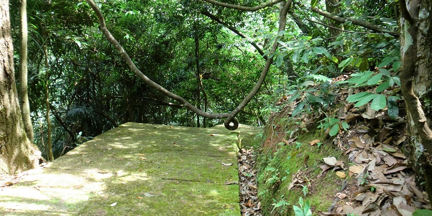 Explore the Gorai Creek and Mangrove Park, offering scenic views and ferry rides.