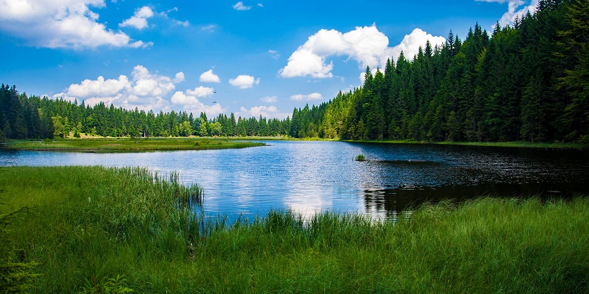 Stunning view of Gorewada Lake, the best place near Gorewada Zoo to relax!