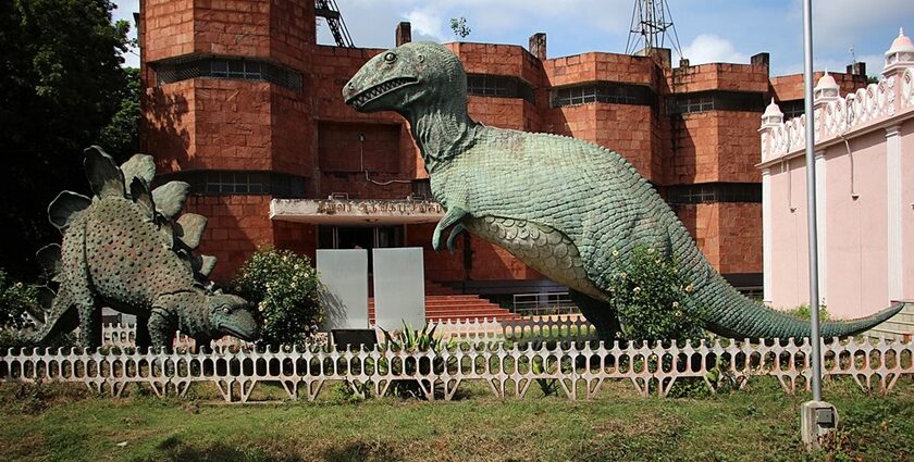 Government Museum Chennai showcases ancient artefacts and rich history.