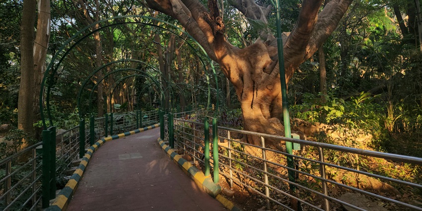 Lush green lanes of Grand Central Park, one of the places to visit in Thane for couples