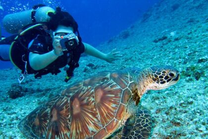 A glimpse of a person swimming deep down the water and clicking photographs.