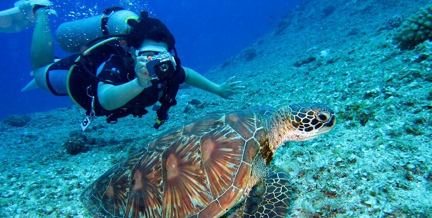 A glimpse of a person swimming deep down the water and clicking photographs.