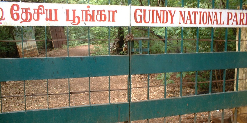 A picture of Guindy National Park, a green oasis among the Velachery tourist places list.