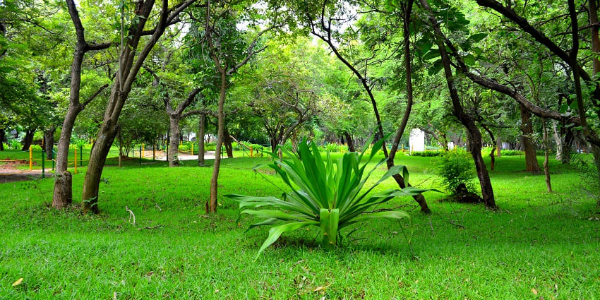 Trekking in Chennai Urban National Park with diverse flora and fauna.