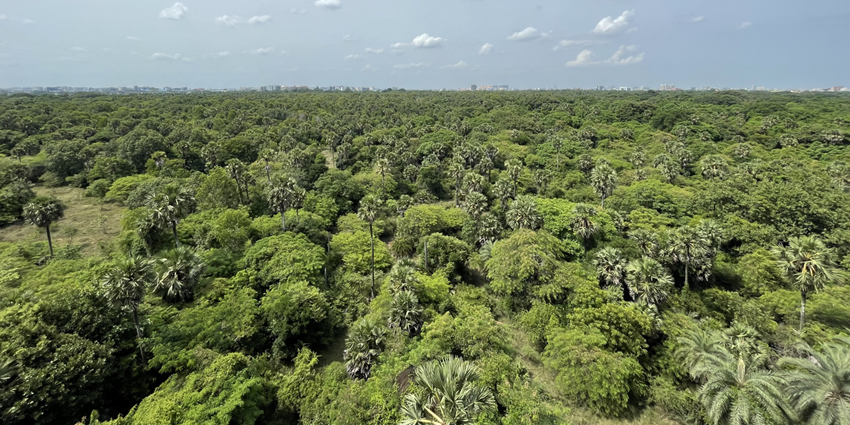 Lush green reserve in Chennai offering nature trails, deer sightings, and educational exhibits on native flora and fauna, one of the best places to visit near Arunachalam.