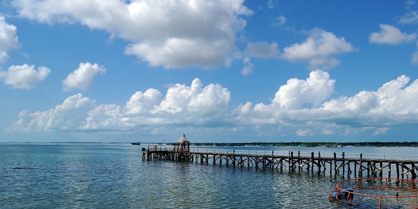 Divers can explore the vibrant underwater ecosystem of the Gulf of Mannar