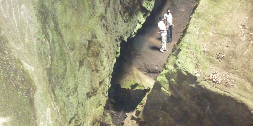 Mysterious caves surrounded by dense forest, perfect for explorers.