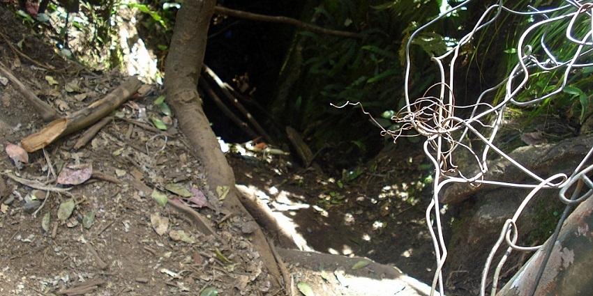 Mysterious caves surrounded by dense forests, offering adventure opportunities.