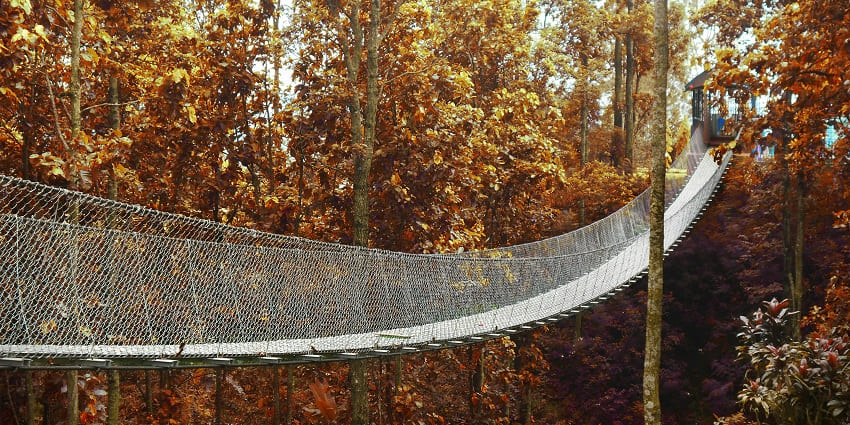 Hanging Bridge is a scenic spot for visitors, perfect for a stroll and an island escape.