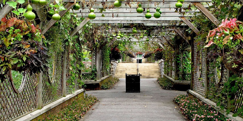 Visit the Hanging Gardens in Mumbai with its terraced layout and flower beds