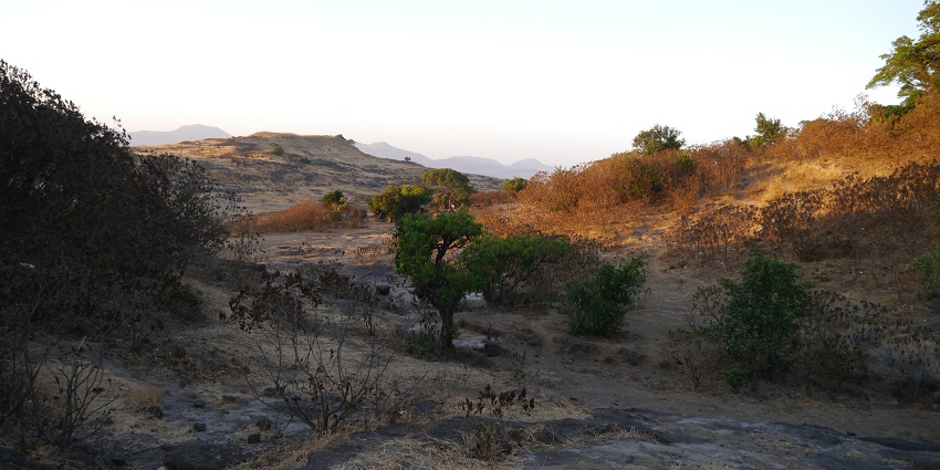 A panoramic view of the fort, one of the popular destinations near Dnyanganga Wildlife Sanctuary.