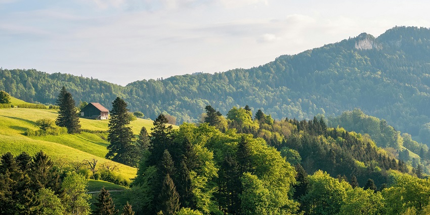 Harrison’s Folly offers amazing vistas and is famous among locals and tourists alike.