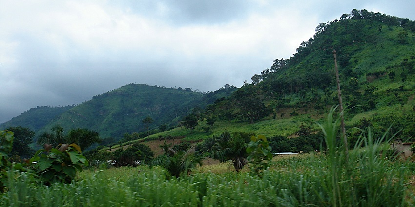 Lush green hills with scattered trees under a partly cloudy sky in a tropical landscape