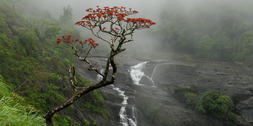 Monsoon in Hassan to explore places to visit near Bangalore in summer for explorers.