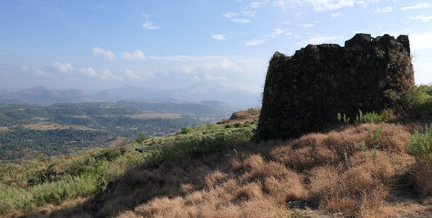 A view of the historic tourist attraction in Maharashtra surrounded by lush greenery.