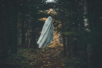 A picture of a ghost-like creature covered in white sheets roaming in the forest