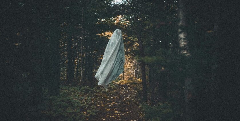 A picture of a ghost-like creature covered in white sheets roaming in the forest