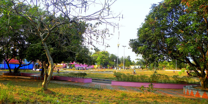 Colorful flowers spreading on the vast green area in Nisargadhama Children’s Park